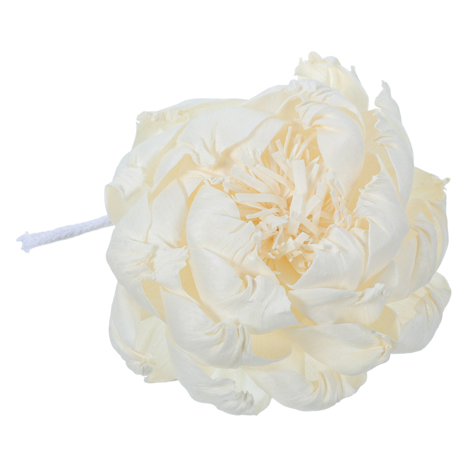 Dyfuzor zapachowy z głową piwo – Home Fragrance Essential Oils recenzja i cena